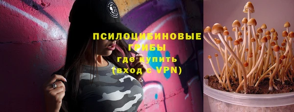 a pvp Няндома